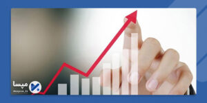 profit in project
